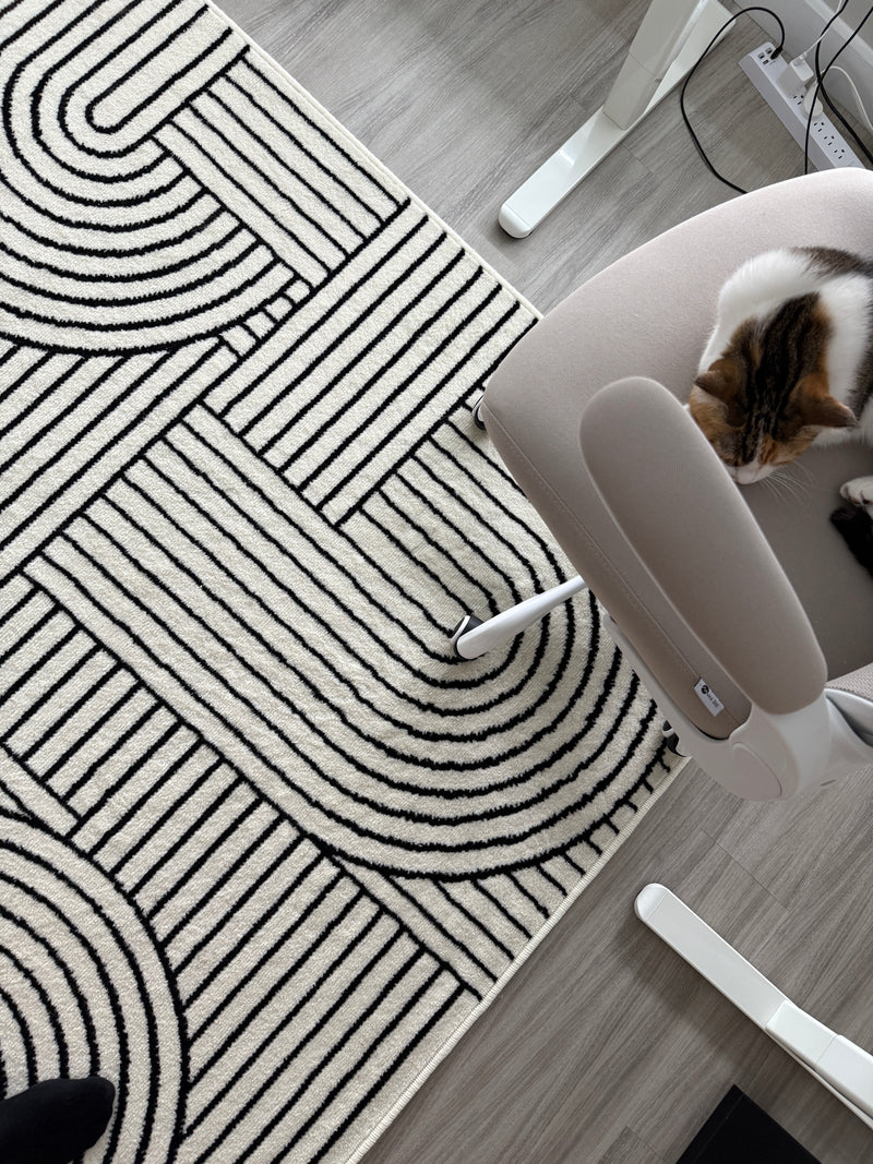 Love this rug!
